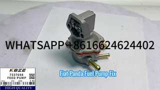 FIAT 7537698 7564923 7581031 ডিজেল ফুয়েল ফিড পাম্প 7797698 7581032 BCD2185/5 পান্ডার জন্য ফিট