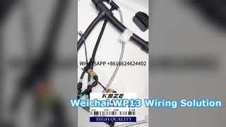 KBZE 1006889780 WEICHAI WP13 এলজিএমজি স্যানি এক্সসিএমজি টনলি মাইনিং ডাম্প ট্রাকের জন্য ইঞ্জিন ওয়্যারিং হারনেস